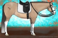Horse Color:Amber Champagne Splash Rabicano