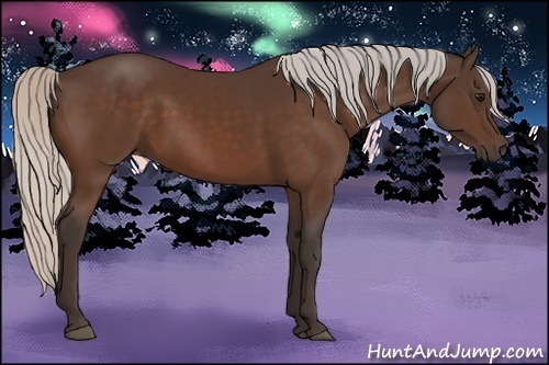 Horse Color:Silver Bay