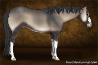 Horse Color:Blue Onyx 