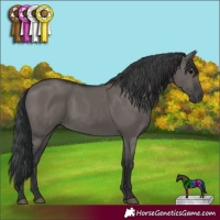 Horse Color:Grullo 