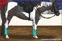 Horse Color:Smoky Black Tobiano 