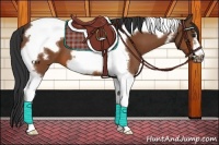 Horse Color:Bay Tobiano Frame 