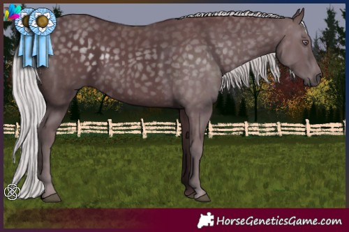 Horse Color:Chocolate Silver Black Chinchilla