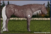 Horse Color:Chocolate Silver Black Chinchilla 