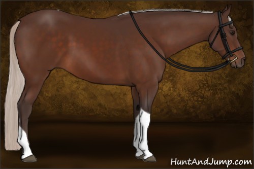 Horse Color:Silver Brown Sabino Tobiano 