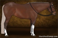 Horse Color:Silver Brown Sabino Tobiano