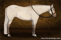 Horse Color:Silver Bay Roan Dun 