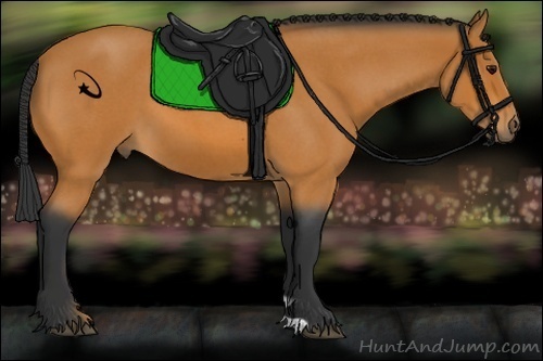 Horse Color:Bay Roan 