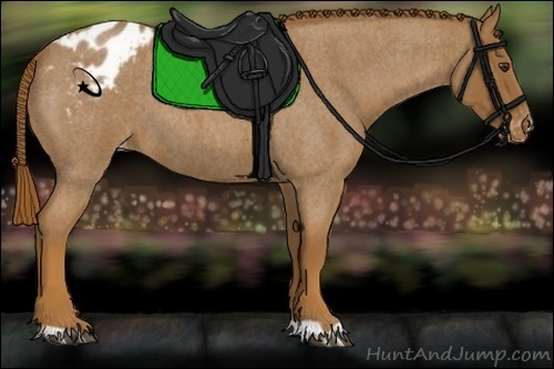 Horse Color:Red Roan Appaloosa 