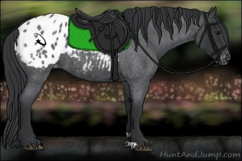 Horse Color:Blue Roan Varnish 