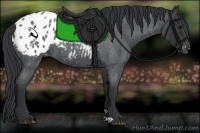 Horse Color:Blue Roan Varnish