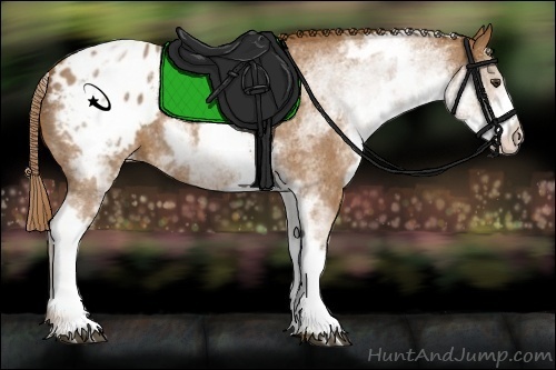 Horse Color:White Spotted Red Roan Varnish 