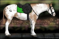 Horse Color:White Spotted Red Roan Varnish