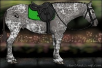 Horse Color:Liver Chestnut Ice 