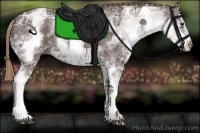 Horse Color:White Spotted Liver Chestnut Ice