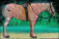 Horse Color:Chestnut Ice 