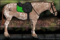 Horse Color:Chestnut Ice 