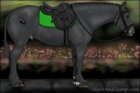 Horse Color:Black Appaloosa