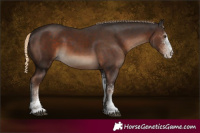 Horse Color:White Spotted Liver Chestnut 