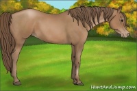 Horse Color:Black Pearl