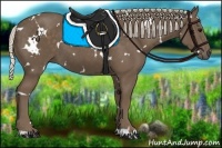 Horse Color:White Spotted Silver Black 