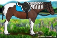 Horse Color:Bay Tobiano 
