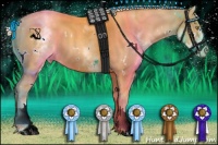 Horse Color:White Spotted Gold Champagne