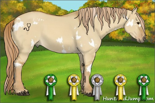 Horse Color:White Spotted Red Dun 