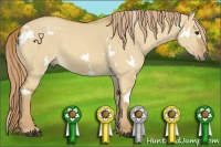Horse Color:White Spotted Red Dun