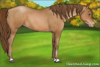 Horse Color:Brown Pearl 