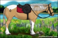Horse Color:Palomino Tobiano 