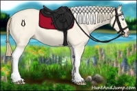 Horse Color:Perlino Dun Tobiano 