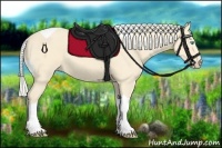 Horse Color:Silver Perlino Tobiano