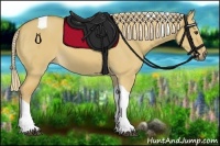 Horse Color:Palomino Dun Tobiano