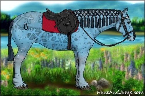 Horse Color:ERROR: UNKNOWN ANOMALY