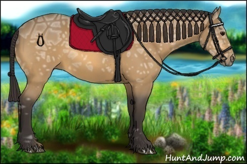 Horse Color:Buckskin Ice 