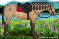 Horse Color:Buckskin Ice 