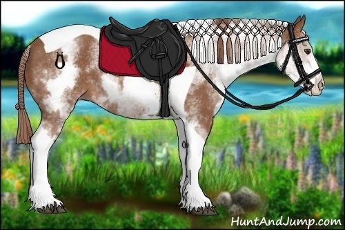 Horse Color:White Spotted Chestnut Tobiano Rabicano 