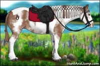 Horse Color:White Spotted Chestnut Tobiano Rabicano