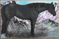 Horse Color:Black Rabicano 
