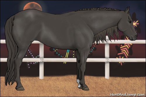 Horse Color:Smoky Black 