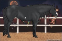 Horse Color:Black Splash Frame