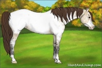 Horse Color:Bay Ice Roan Dun Frame Snowcap Rabicano