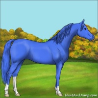 Horse Color:Watercolor Smoky Black 