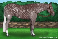 Horse Color:Chocolate Silver Black Chinchilla
