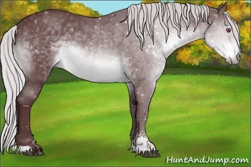 Horse Color:Chocolate Silver Brown Chinchilla Sabino