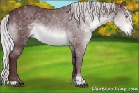 Horse Color:Chocolate Silver Brown Chinchilla Sabino