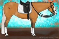 Horse Color:Silver Bay Splash Appaloosa 