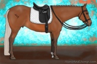 Horse Color:Silver Bay 