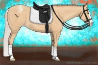 Horse Color:Silver Amber Champagne Splash Appaloosa 